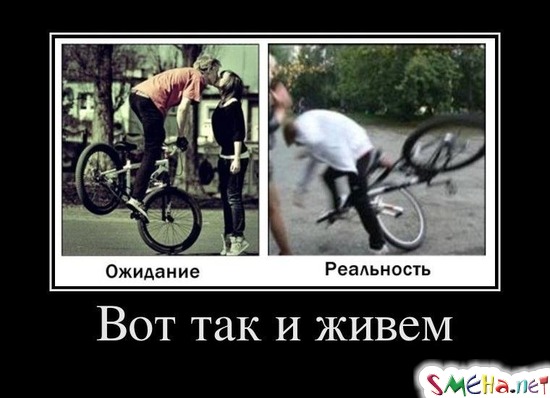 Вот так и живем