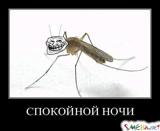 СПОКОЙНОЙ НОЧИ