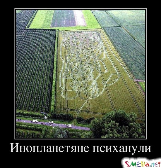 Инопланетяне психанули