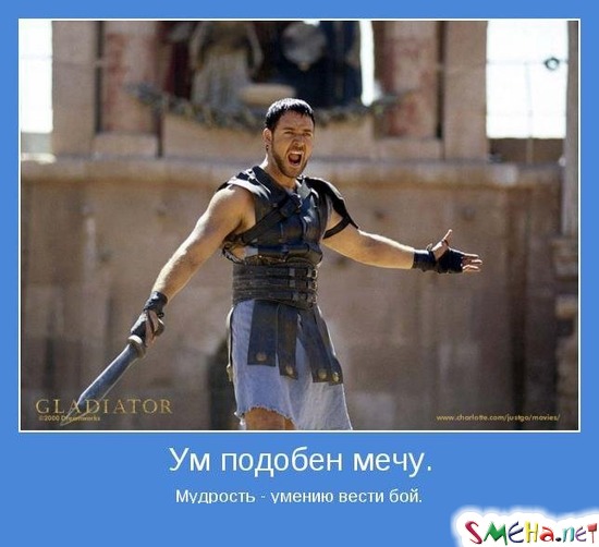 Ум подобен мечу Мудрость - умению вести бой