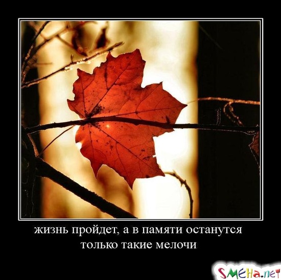 жизнь пройдет, а в памяти останутся только такие мелочи