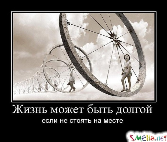 Жизнь может быть долгой - если не стоять на месте