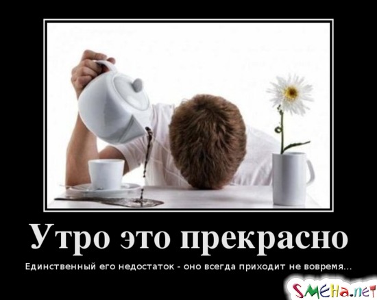 Утро это прекрасно - Единственный его недостаток - оно всегда приходит не вовремя...