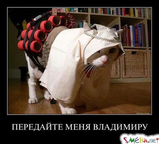 ПЕРЕДАЙТЕ МЕНЯ ВЛАДИМИРУ