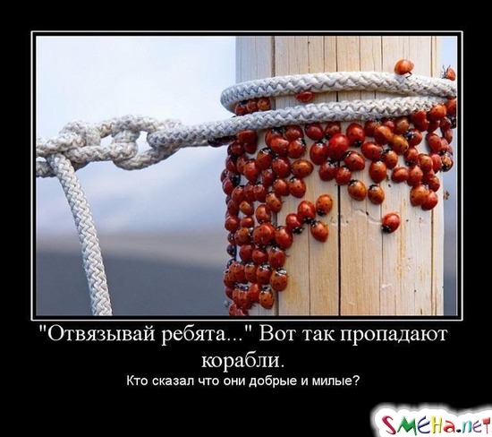Отвязывай ребята... - Вот так пропадают корабли. Кто сказал что они добрые и милые?