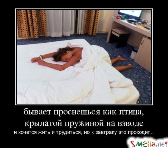 Бывает проснешься как птица, крылатой пружиной на взводе и хочется жить и трудиться, но к завтраку это проходит