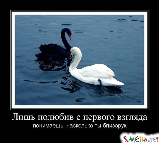 Лишь полюбив с первого взгляда - понимаешь, насколько ты близорук
