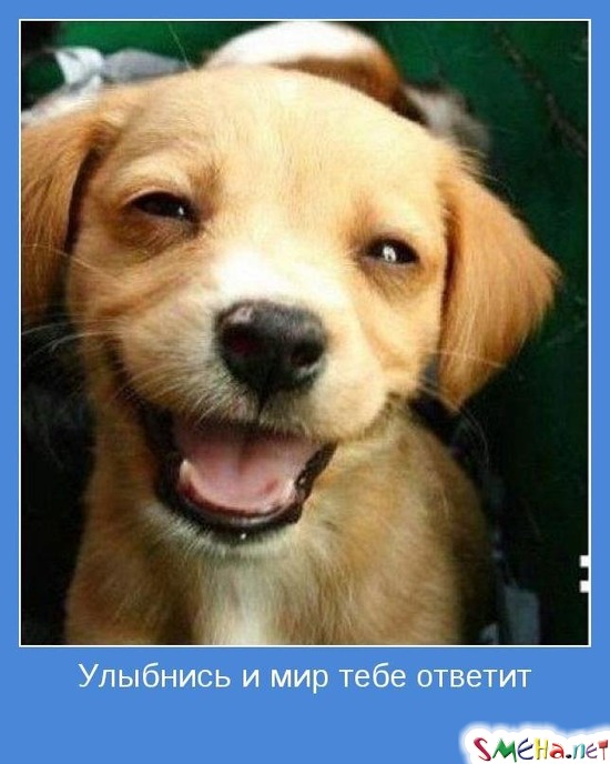 Улыбнись и мир тебе ответит
