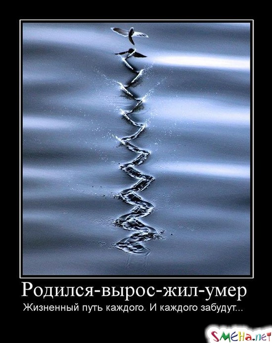 Родился - вырос - жил - умер - Жизненный путь каждого. И каждого забудут...