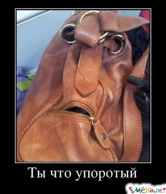 Ты что упоротый