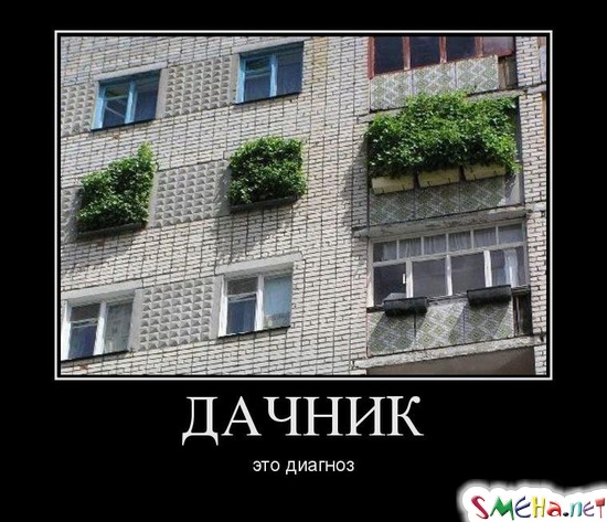 ДАЧНИК - это диагноз
