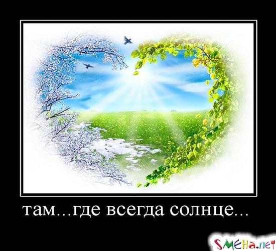 там...где всегда солнце...
