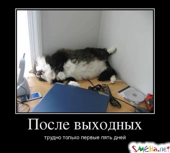 После выходных - трудно только первые пять дней