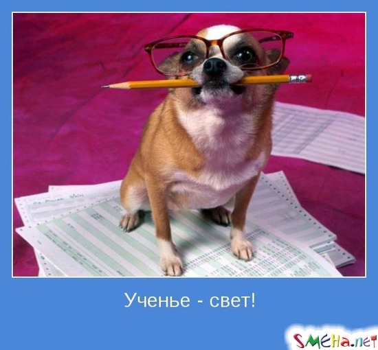 Ученье - свет!
