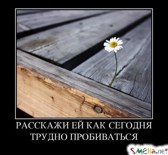 РАССКАЖИ ЕЙ КАК СЕГОДНЯ ТРУДНО ПРОБИВАТЬСЯ