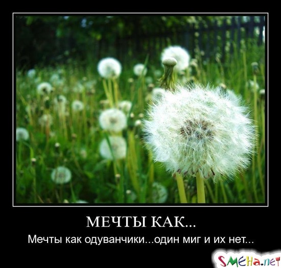 МЕЧТЫ КАК... - Мечты как одуванчики... один миг и их нет