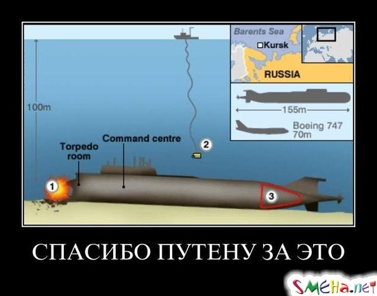 СПАСИБО ПУТЕНУ ЗА ЭТО
