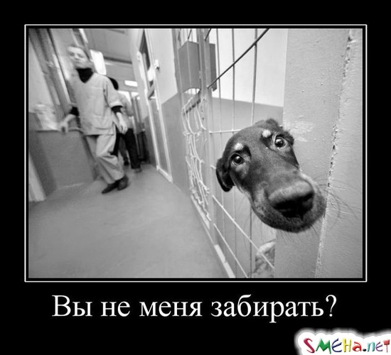 Вы не меня забирать?