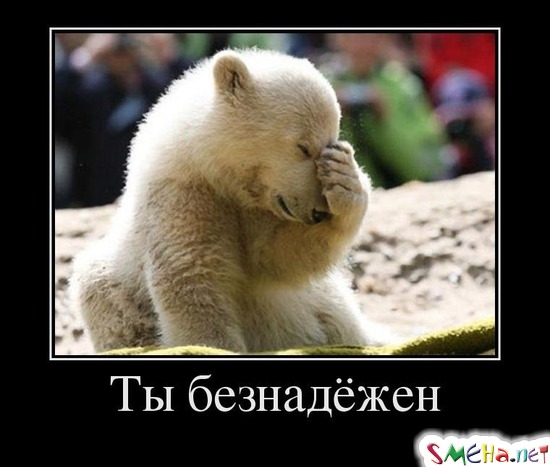 Ты безнадёжен