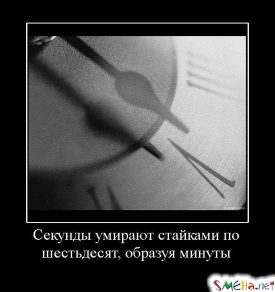 Секунды умирают стайками по шестьдесят, образуя минуты