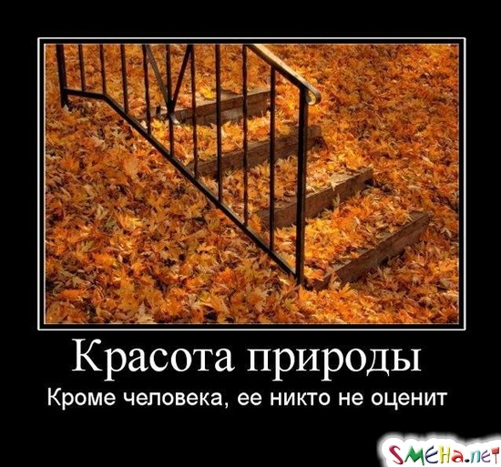 Красота природы - Кроме человека, ее никто не оценит