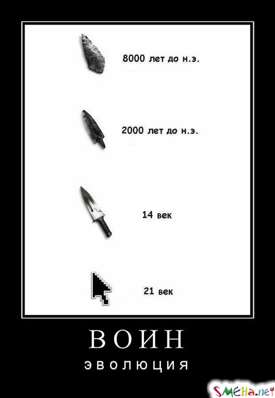 ВОИН - эволюция