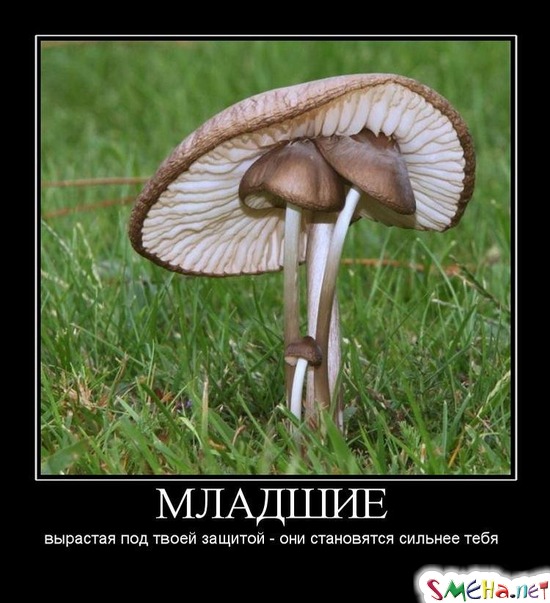 МЛАДШИЕ - вырастая под твоей защитой - они становятся сильнее тебя