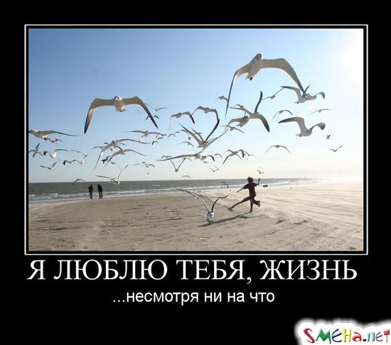 Я ЛЮБЛЮ ТЕБЯ, ЖИЗНЬ - ...несмотря ни на что