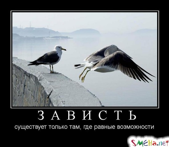 ЗАВИСТЬ -  существует только там, где равные возможности