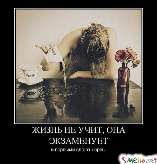 ЖИЗНЬ НЕ УЧИТ, ОНА ЭКЗАМЕНУЕТ и первыми сдают нервы