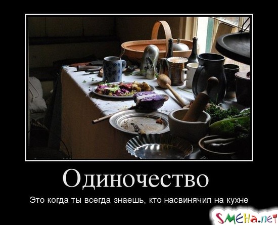 Одиночество - Это когда ты всегда знаешь, кто насвинячил на кухне