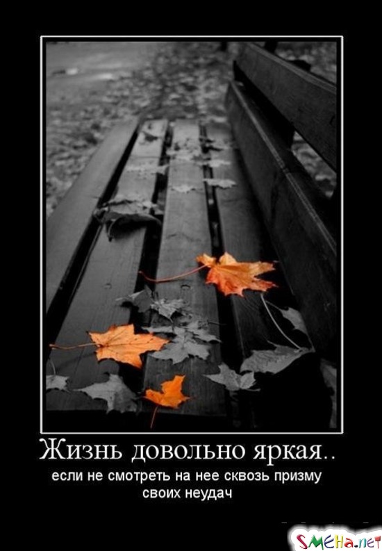 Жизнь довольно яркая.. - если не смотреть на нее сквозь призму своих неудач