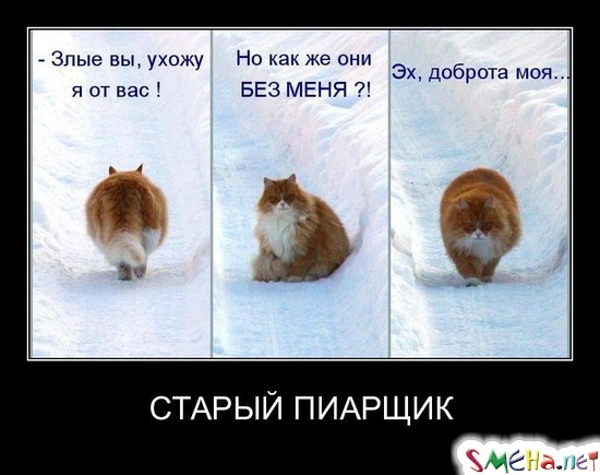 СТАРЫЙ ПИАРЩИК