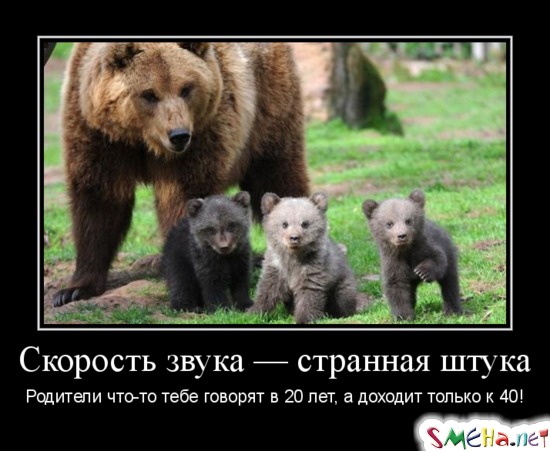 Скорость звука — странная штука - Родители что-то тебе говорят в 20 лет,а доходит только к 40!