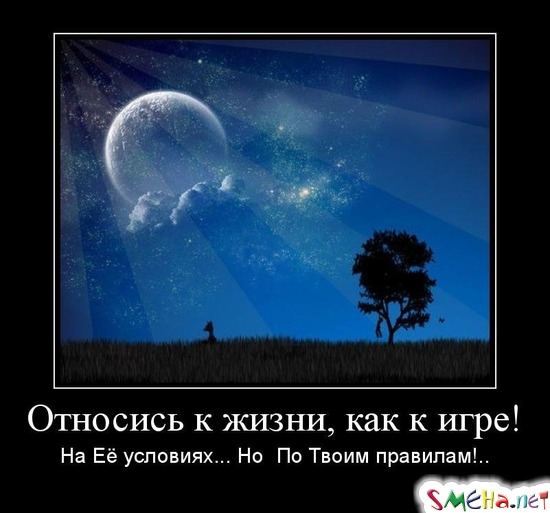 Относись к жизни, как к игре! На Её условиях... Но  По Твоим правилам!..