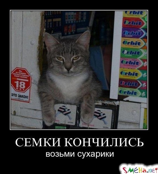 СЕМКИ КОНЧИЛИСЬ - возьми сухарики