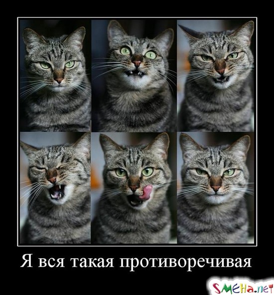 Я вся такая противоречивая