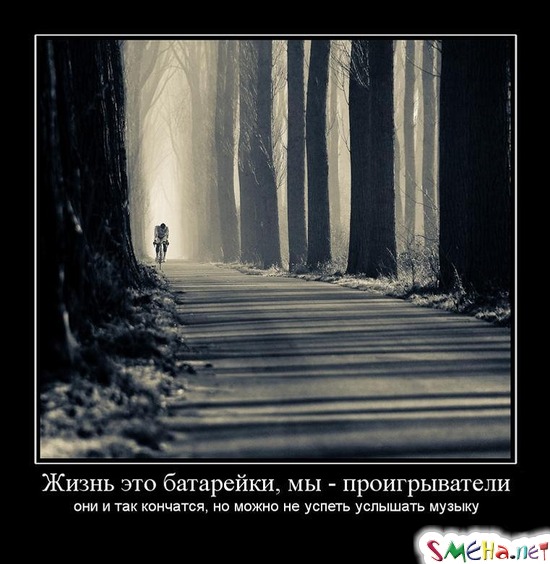 Жизнь это батарейки, мы - проигрыватели - они и так кончатся, но можно не успеть услышать музыку