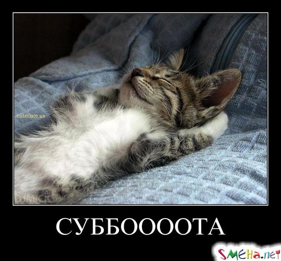 СУББОТА