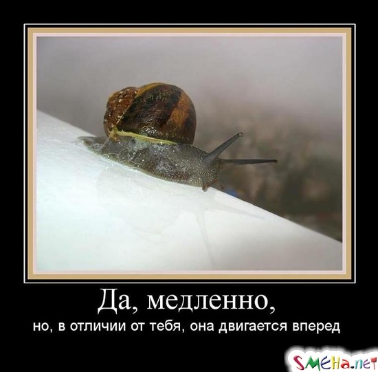 Да, медленно, - но, в отличии от тебя, она двигается вперед