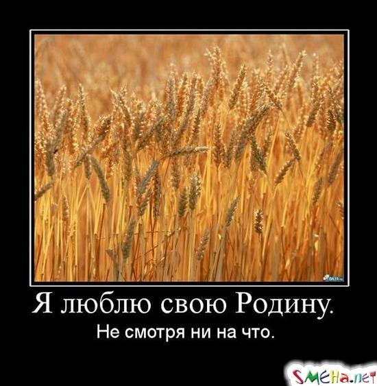 Я люблю свою Родину. - Не смотря ни на что.
