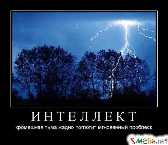 ИНТЕЛЛЕКТ - кромешная тьма жадно поглотит мгновенный проблеск