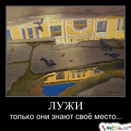 ЛУЖИ - только они знают своё место...