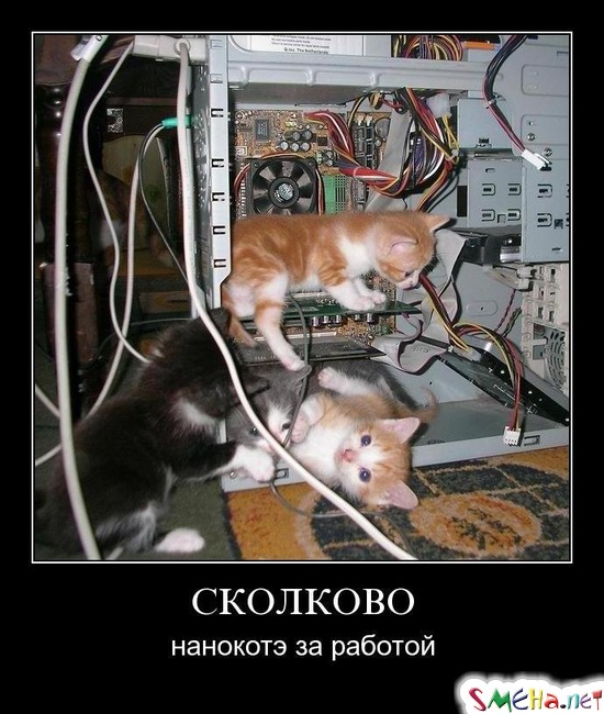 СКОЛКОВО - нанокотэ за работой