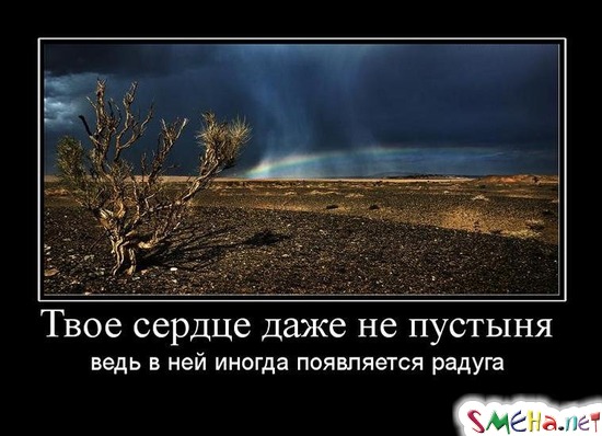 Твое сердце даже не пустыня - ведь в ней иногда появляется радуга