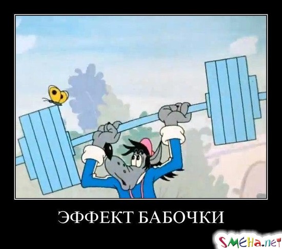 ЭФФЕКТ БАБОЧКИ