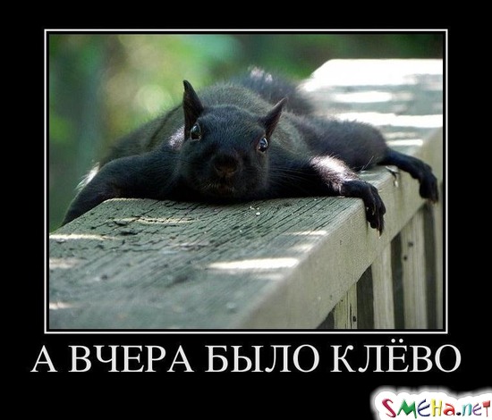 А ВЧЕРА БЫЛО КЛЁВО