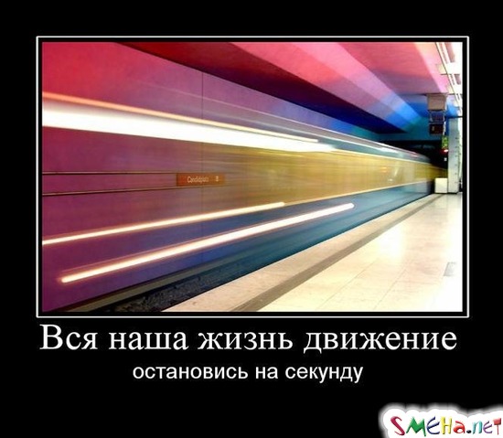 Вся наша жизнь движение - остановись на секунду