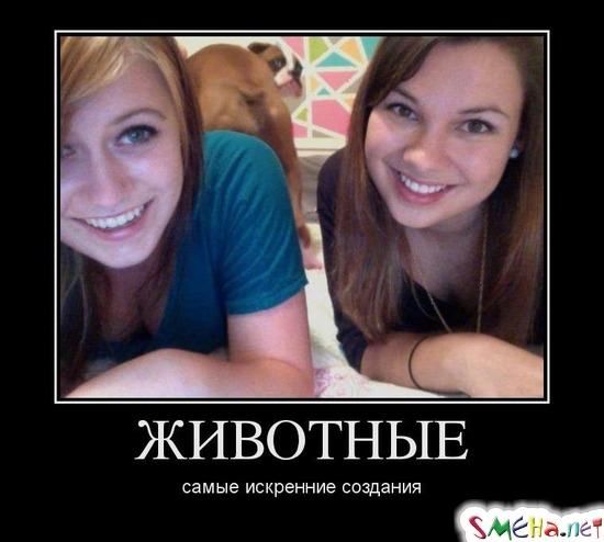 ЖИВОТНЫЕ - самые искренние создания