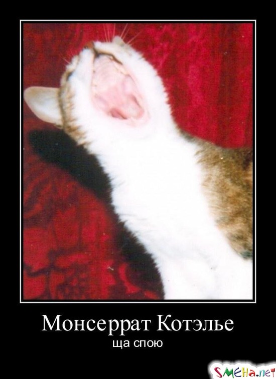 Монсеррат Котэлье - ща спою
